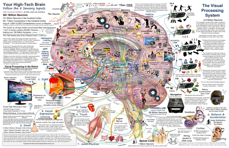 Mapa de funciones cerebrales, una herramienta visual para entender fácilmente áreas y funciones cerebrales clave, los que desean pueden descargar gratis en alta resolución en el primer comentario.