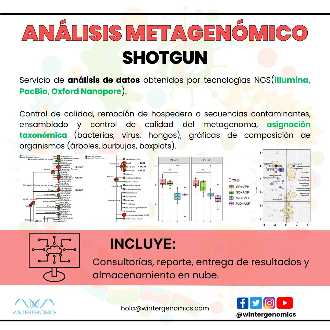 wintergenomics's tweet photo. "🦠🧫🧪 ANÁLISIS METAGÉNOMICO SHOTGUN 💻🧬

¿Tienes datos de metagenoma shotgun y quieres analizarlos? Realizamos pero no se limita a:
- Control de calidad
- Remoción de hospederos
- Asignación taxonómica
- Gráficas de composición de organismo

Info: hola@wintergenomics.com" https://t.co/0UPm4w0UCR