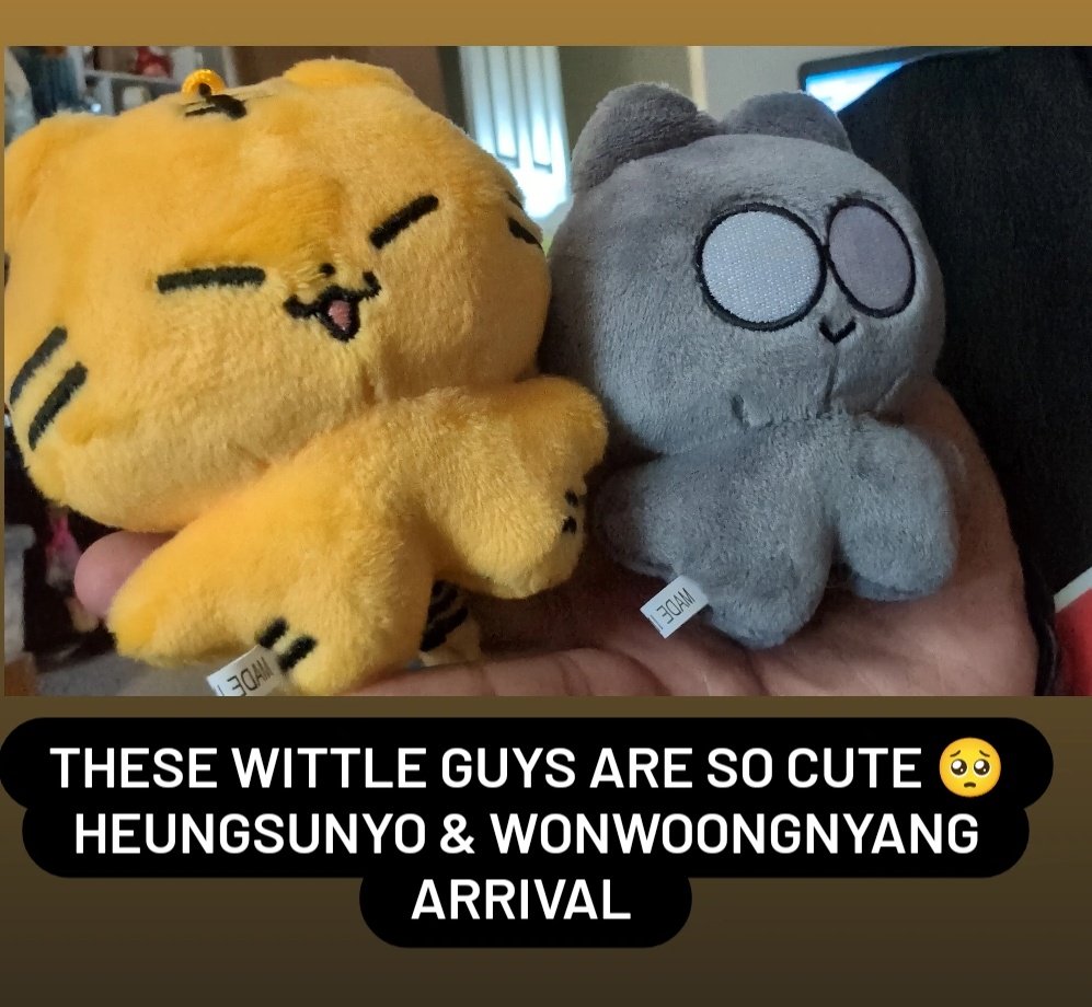 Fandomentalisst's tweet photo. Some cuties landed yesterday! 
#azirasgoupdates #azirasgoupdate https://t.co/eYlRNjHvir