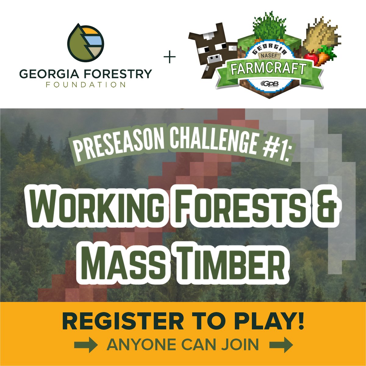 Georgia Forestry Foundation tweet media