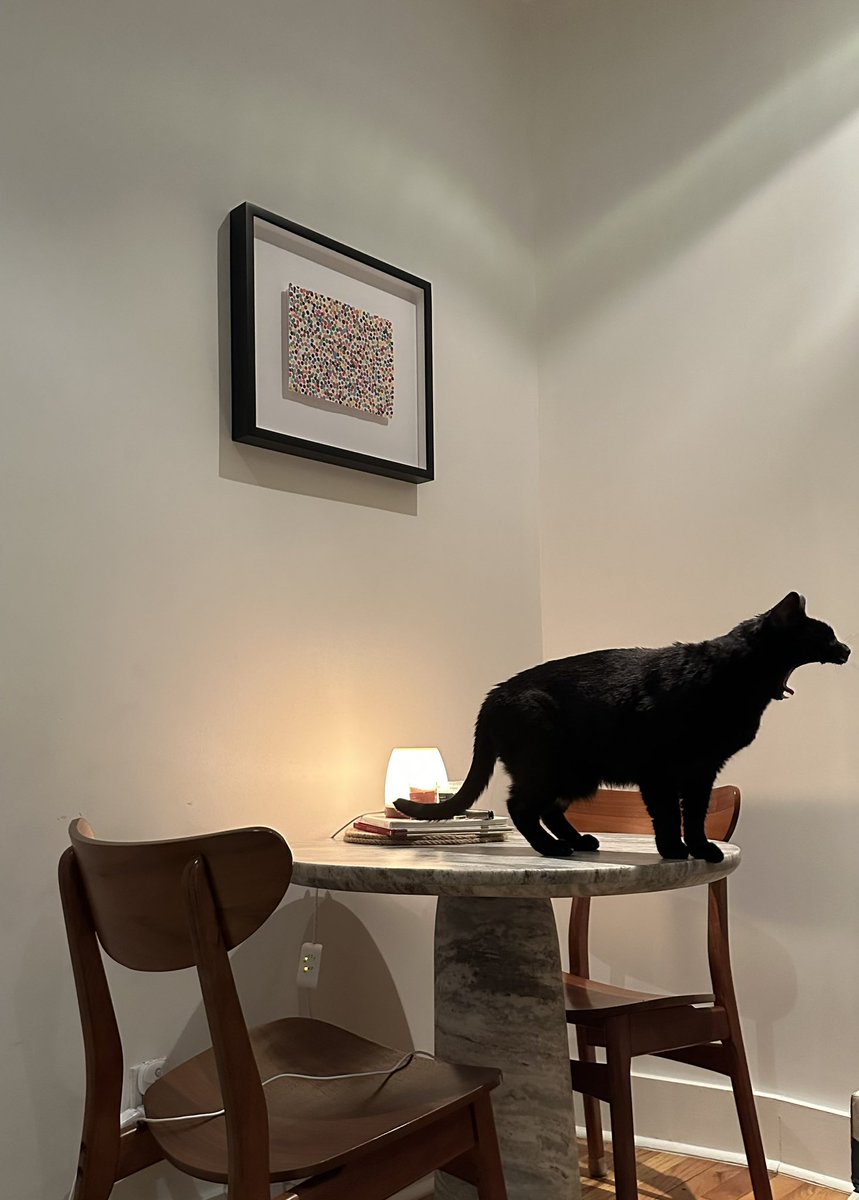 EP_Daly's tweet photo. @HENI @hirst_official Not too much, just watching my cat roar (or yawn) into the void. https://t.co/swA8JdicPq