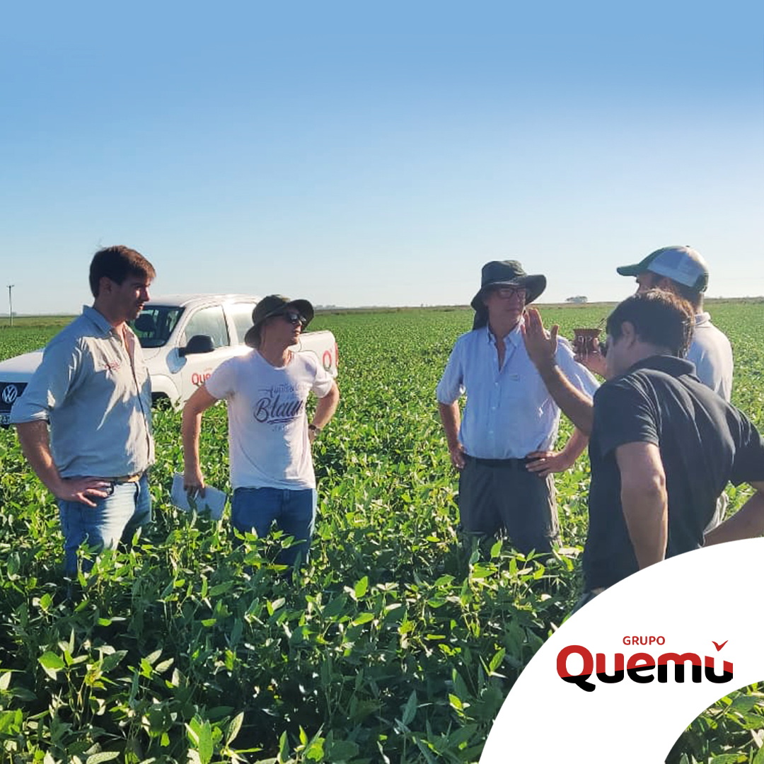 Recorrida de lotes de soja.
Estuvimos junto a Andrés Corromola en Quemú Quemú.
Consultanos por nuestro Programa de Protección Integral Soja.
En Grupo Quemú estamos comprometidos a estar cerca tuyo, trabajando mano a mano para lograr una agricultura más eficiente y sostenible.