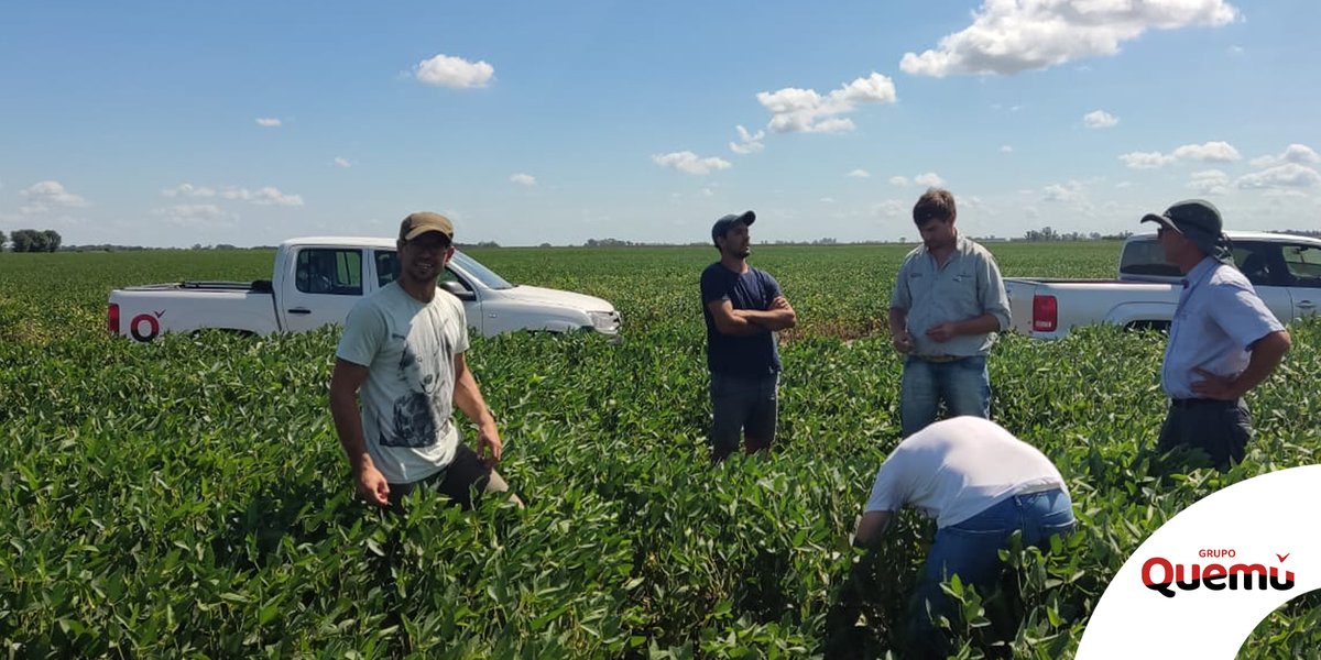 Recorrida de lotes de soja.
Estuvimos junto a Andrés Corromola en Quemú Quemú.
Consultanos por nuestro Programa de Protección Integral Soja.
En Grupo Quemú estamos comprometidos a estar cerca tuyo, trabajando mano a mano para lograr una agricultura más eficiente y sostenible.