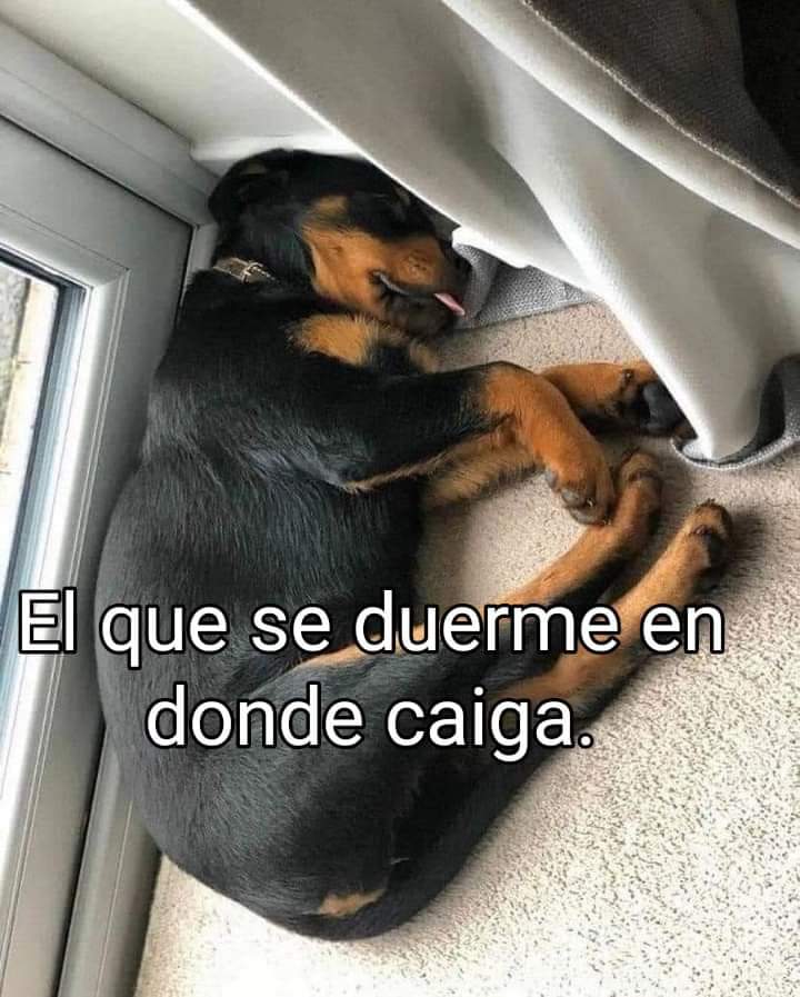 MARIACARMEN1607's tweet photo. 😴😴😴😴 https://t.co/ueCeFZXdRk