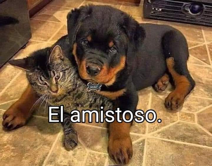 MARIACARMEN1607's tweet photo. 🥰🥰🥰 https://t.co/AiNd1kCLbY