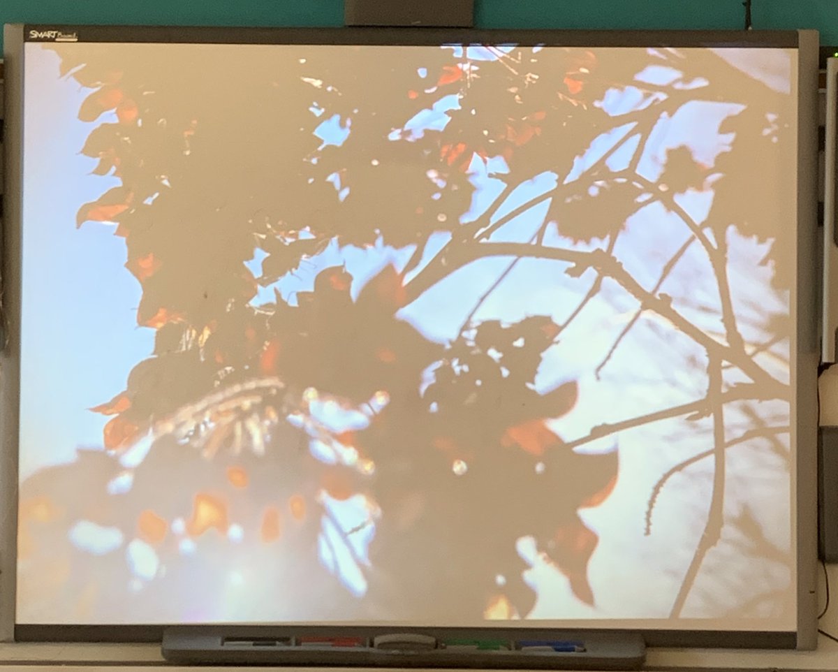 Mrs. Petrozza tweet media