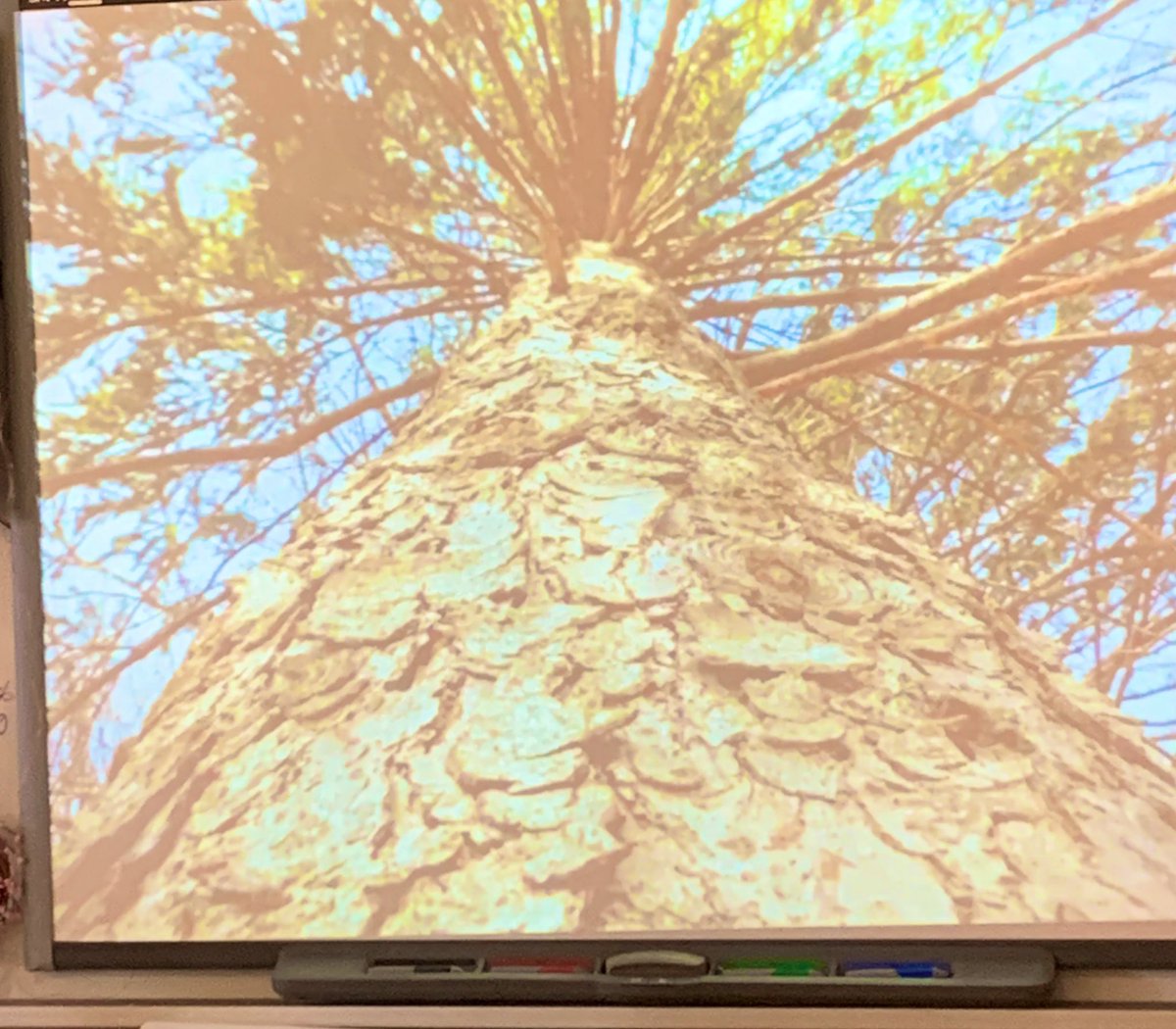 Mrs. Petrozza tweet media