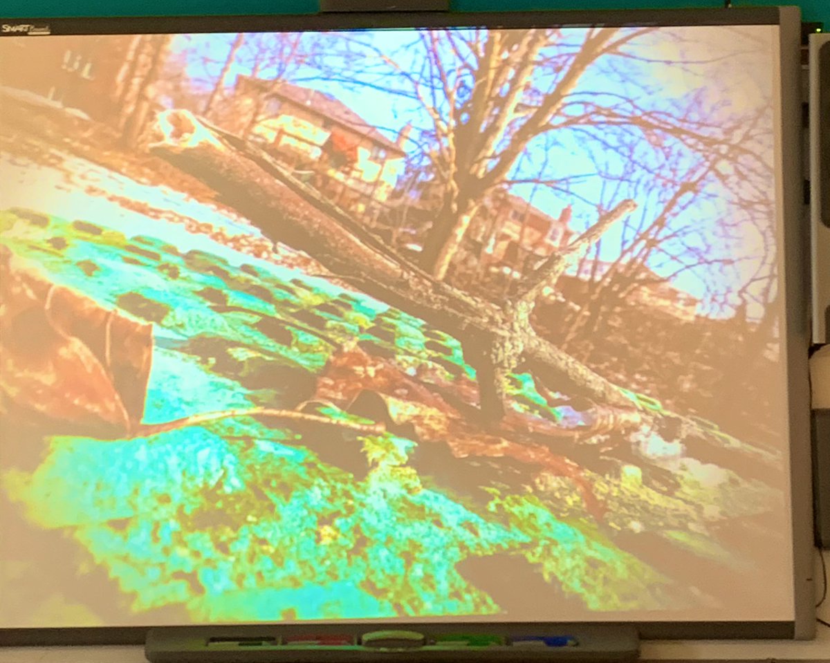 Mrs. Petrozza tweet media