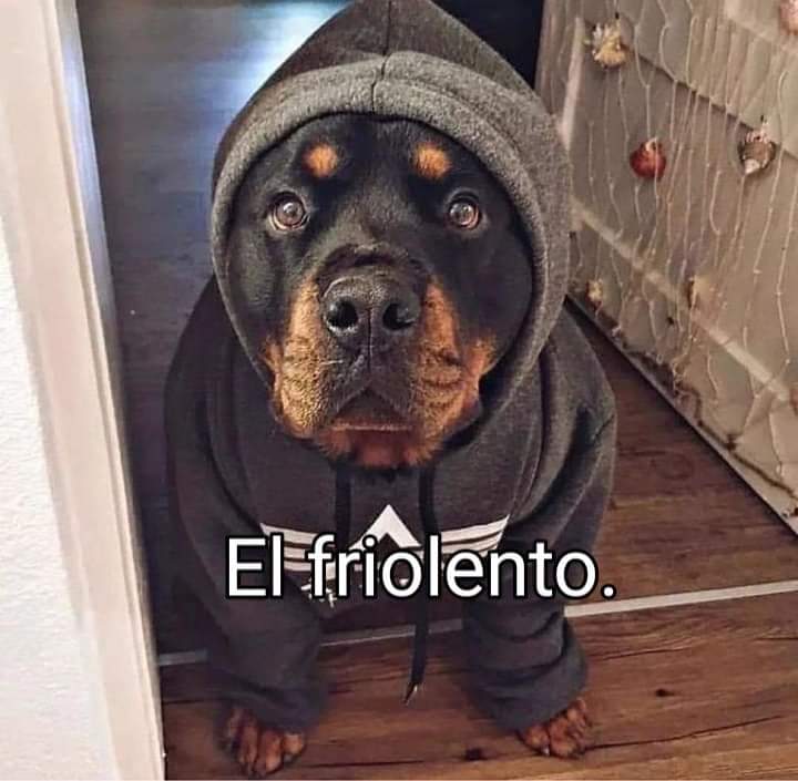 MARIACARMEN1607's tweet photo. 🥶🥶🥶 https://t.co/XbQWOn4WU4