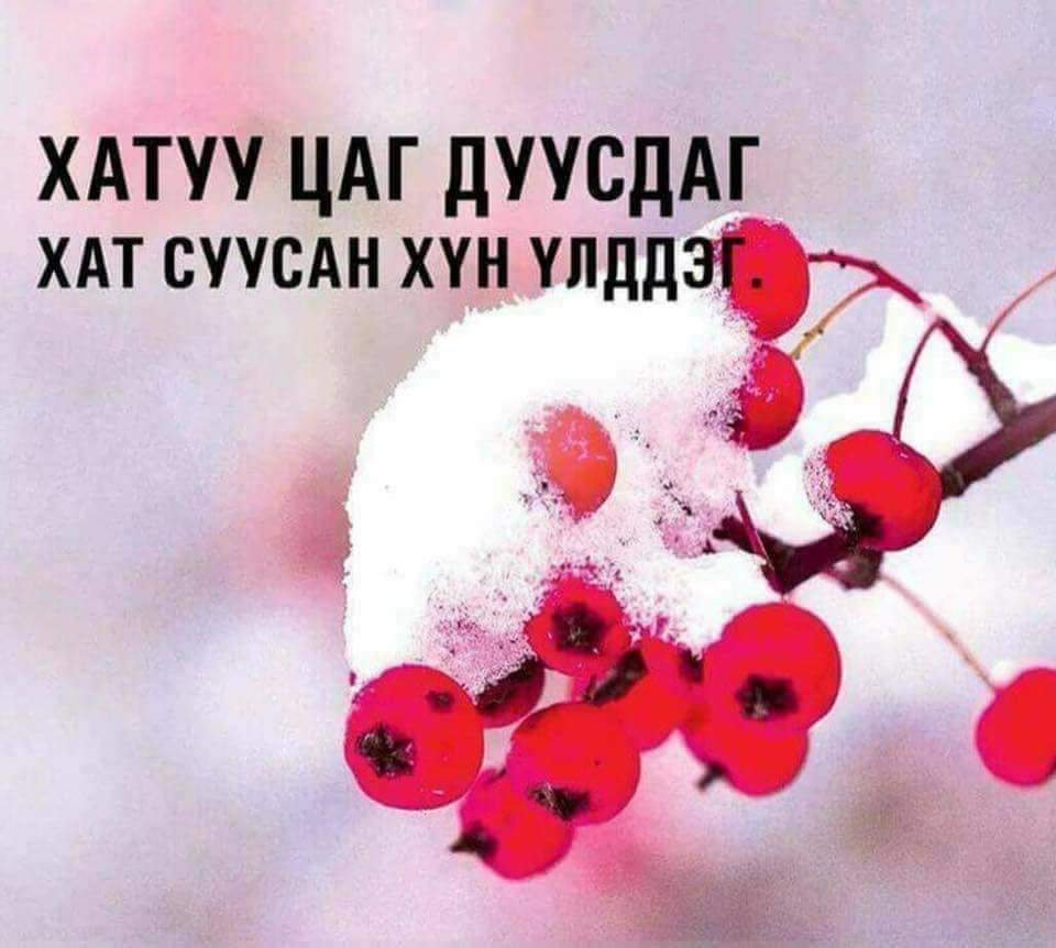 Өглөөний мэндээ. Үйлс бүхэн тань тэгш дүүрэн бүтсэн сайхан өдөр байг ээ.