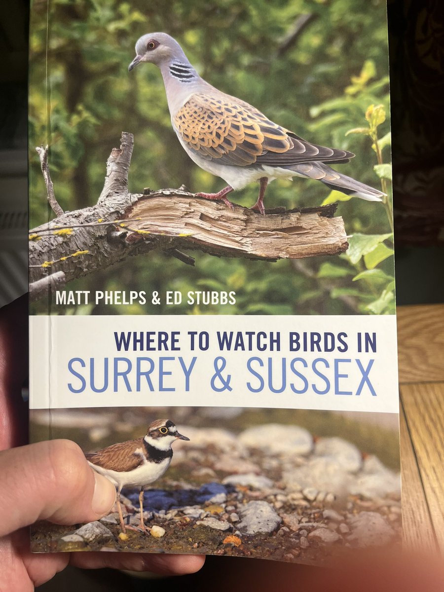 Highly recommend the excellent new book by @mostlyscarce and @Godalming_birds 👍lots of new local places to explore!!
