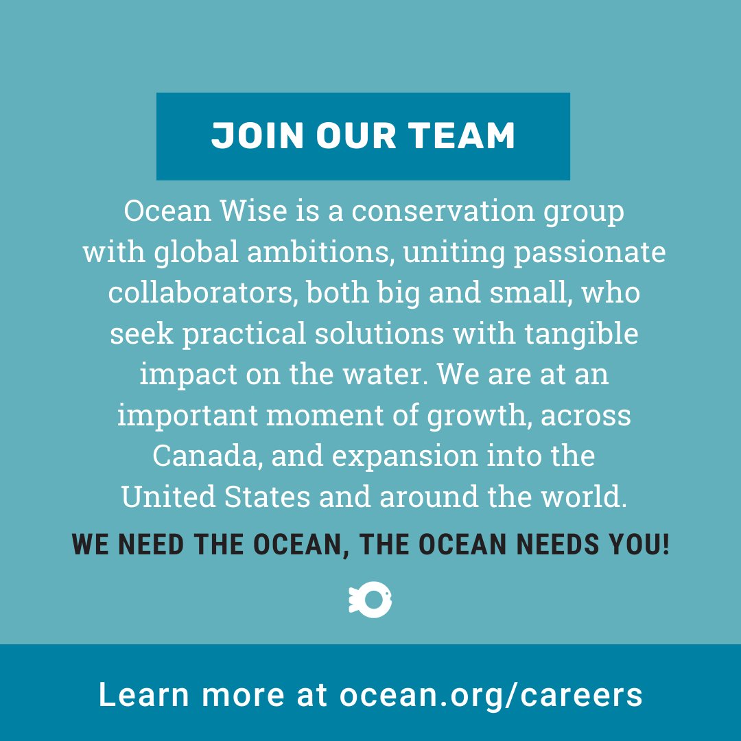 With deep experience in the field of ocean conservation, strong partnerships and support from everyday citizens, Ocean Wise is creating lasting change for the ocean. Visit bit.ly/3T5UU71 to learn about our culture and review the current careers.