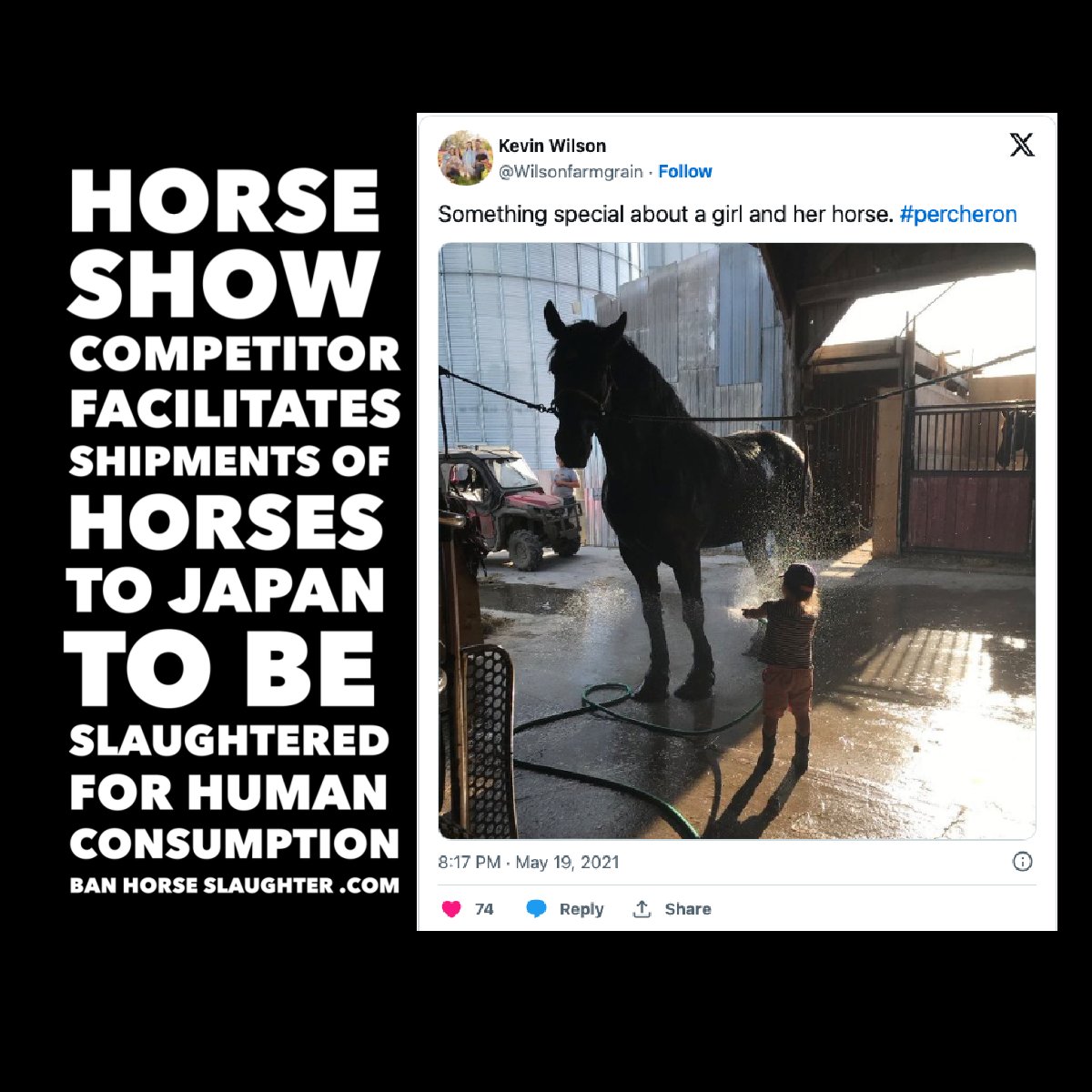 Ban Horse Slaughter (@horseslaughter_) on Twitter photo Ever wonder who facilitates the barbaric live shipments of #horses from #Canada to #Japan to be slaughtered for human consumption?
bit.ly/4bMou8V <==
<a href="/jannarden/">Jann “stop live horse export” Arden</a> <a href="/KateDrummond_/">Kate Drummond</a> <a href="/CyntWhite/">C White Ⓥ🇺🇲🇺🇦</a> #horseshit #banhorseslaughter #horse #chdc #bhs <a href="/save_our_woods/">Save Our Woodlands</a> <a href="/bifnaked/">Bif Naked</a> Ever wonder who facilitates the barbaric live shipments of #horses from #Canada to #Japan to be slaughtered for human consumption?
bit.ly/4bMou8V <==
<a href="/jannarden/">Jann “stop live horse export” Arden</a> <a href="/KateDrummond_/">Kate Drummond</a> <a href="/CyntWhite/">C White Ⓥ🇺🇲🇺🇦</a> #horseshit #banhorseslaughter #horse #chdc #bhs <a href="/save_our_woods/">Save Our Woodlands</a> <a href="/bifnaked/">Bif Naked</a>