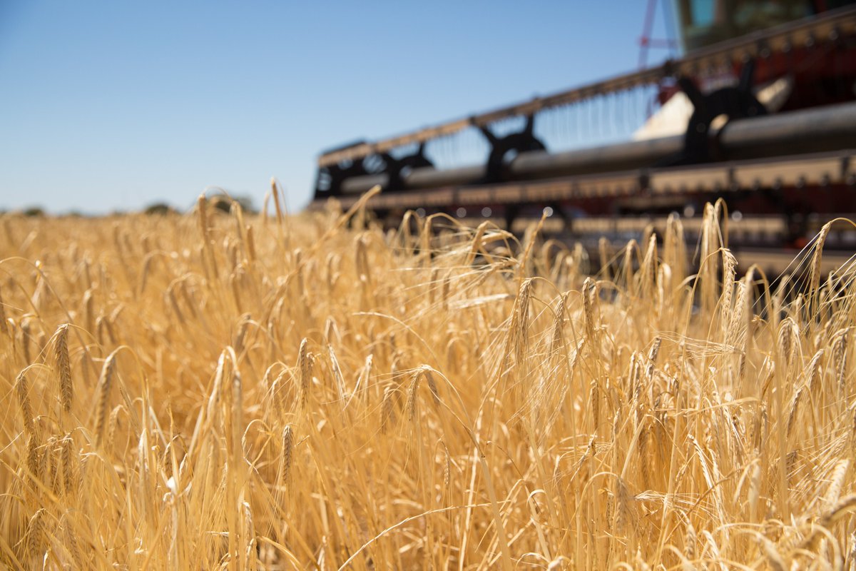 AgInstituteAus's tweet photo. Outstanding achievement in agriculture should be recognised and several Ag Institute Australia members were recognised in the 2024 Australia Day Honours List. Read more : https://t.co/D8ymSlRgQw 
#aginstitute #recognisingag #australianag #agawards https://t.co/sNjRrmUCdD