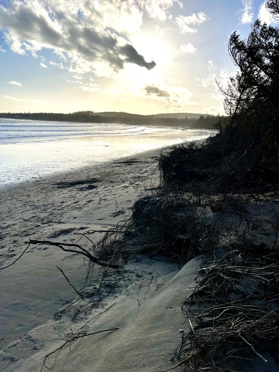digaa17's tweet image. Winter beach walks in Nova Scotia!      
I really enjoyed this sunset last weekend at Rissers Beach! #beachwalks  #trails #winter #sunsets