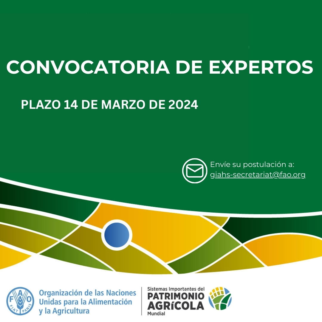 🍃Únete al Grupo Asesor Científico del Programa de #PatrimonioAgrícola de la FAO para el período 2024-2025.

Esta es una convocatoria para expertos en agroecología, biodiversidad y otras áreas. Postulaciones abiertas hasta el 14 de marzo.

¡Aplica aquí! ➡️bit.ly/3uylzA9