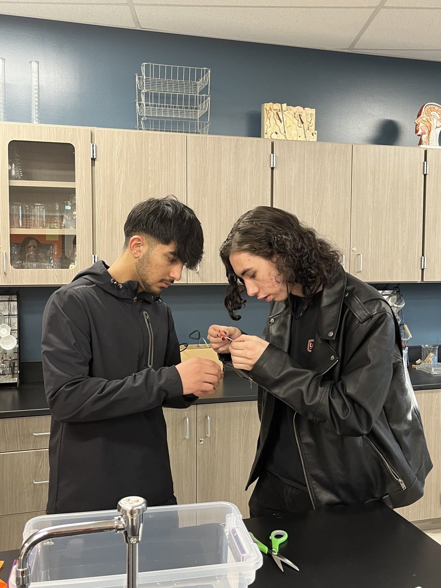 EdMK32's tweet photo. Buildings built, generators filled…tomorrow is tsunami day!!! #eagleslearntogether 🧡🖤🦅 https://t.co/Hr48TnfegT