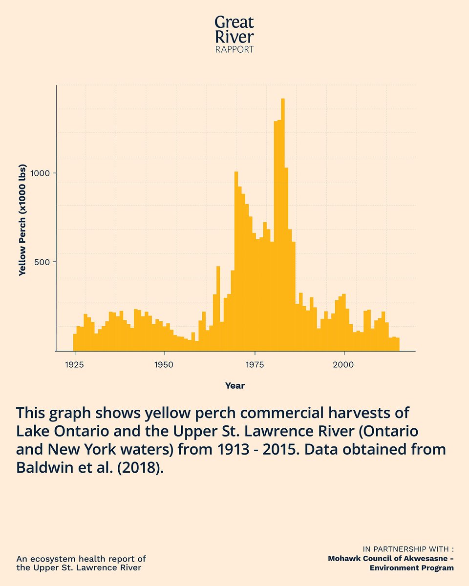 River Institute tweet media