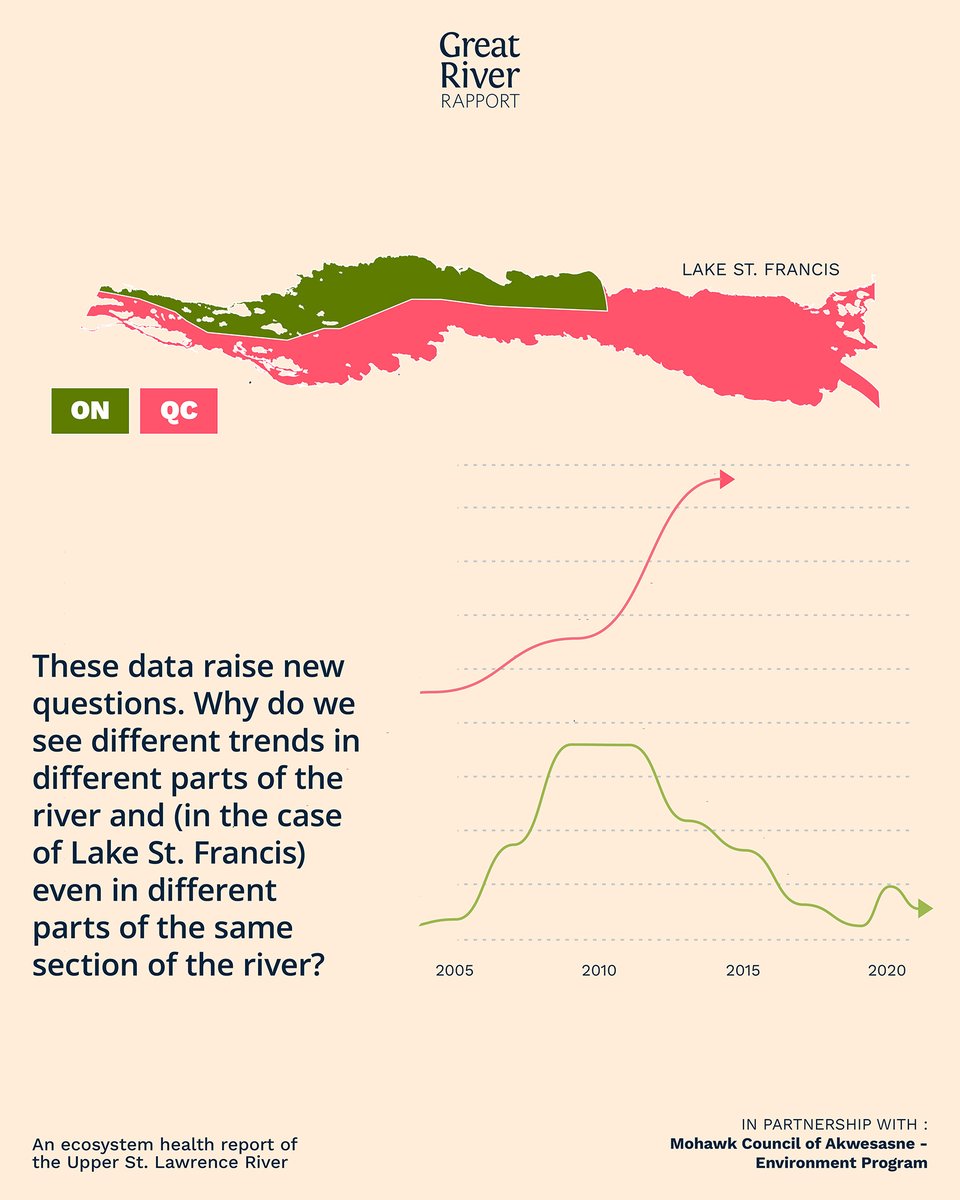 Its been found that Yellow Perch populations in the #USLR have declined. This is particularly the case since the late 1970s—a time when many have memories of abundant yellow perch. But the assessment also showed other important trends. 

Learn more👉 riverrapport.ca/perch-indicato…