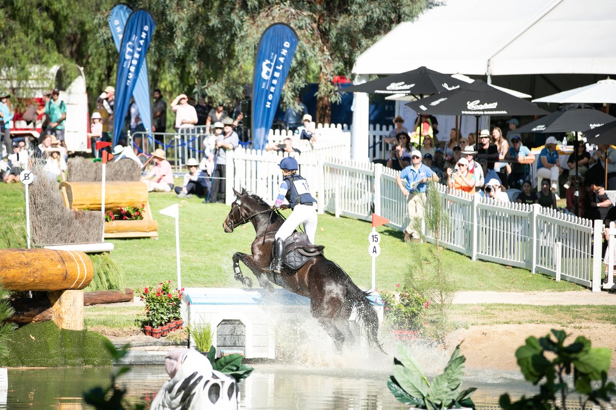 The Adelaide Equestrian Festival in April will see over 70 athletes compete for their spot on the Australian Olympic team. After welcoming over 30,000 attendees last year, crowds will gather again for the only event of its kind in the southern hemisphere: tourism.sa.gov.au/news-articles/….