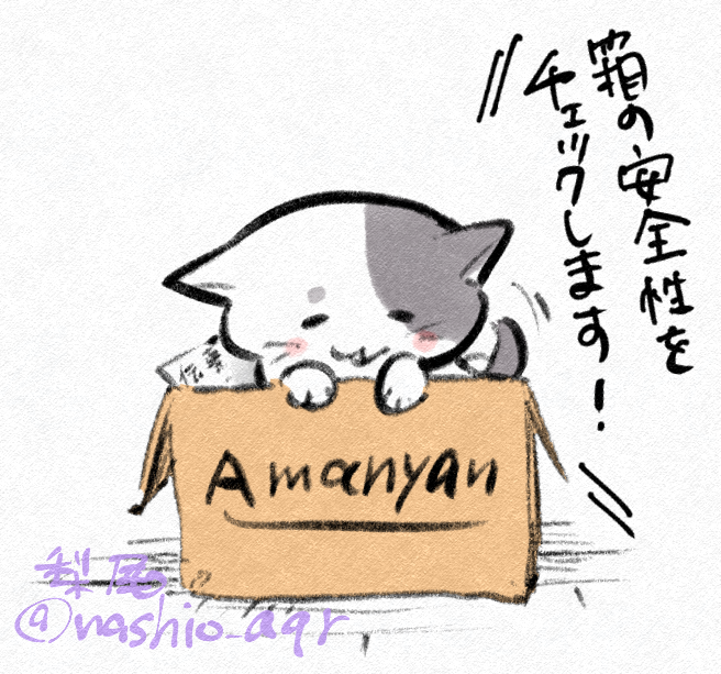 いつも入っちゃう猫 