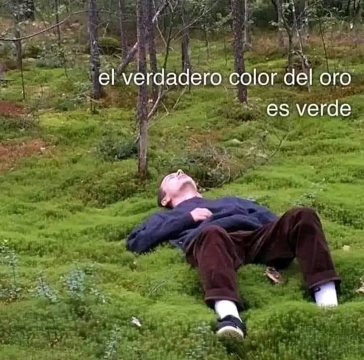 💚💚