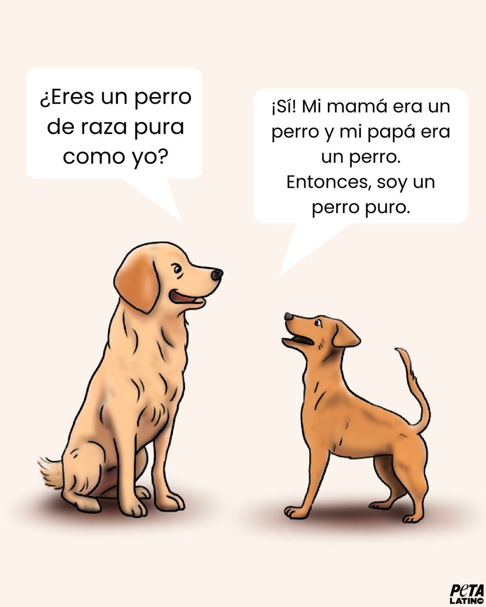 Todo perro merece amor, sin importar su apariencia ❤️ Los \, image size:960x1200