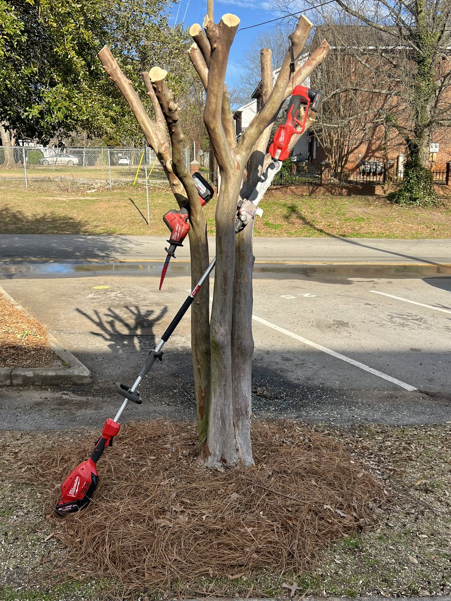 ShangsLS's tweet photo. It’s that time of year! Jan-Feb is the ideal time to have your Crepe Myrtles trimmed. This is my arsenal for the job. Milwaukee battery power M12 &amp; M18 tools.
# pruning 
#milwaukeetools
#crepemrtyles
#2024seasonhasstarted
#weplayingnogames 
#thelandscaper https://t.co/OdnugRQOFZ