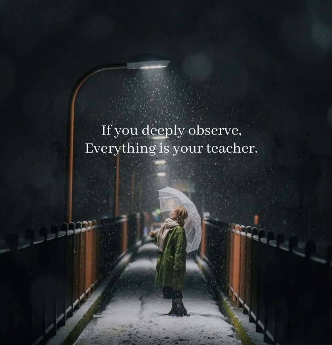 Most scroll aimlessly; don’t be most. Connect with the best.

Here’s the list of top minds that deliver value straight to your screen:

Real Estate: <a href="/jzrenaissance/">Jonathan Zapata</a>
Mindset: <a href="/MindWisdomMoney/">Maxwell 🕊</a>
Life: <a href="/mindfulmaven_/">Mindful Maven</a> 

- More below -