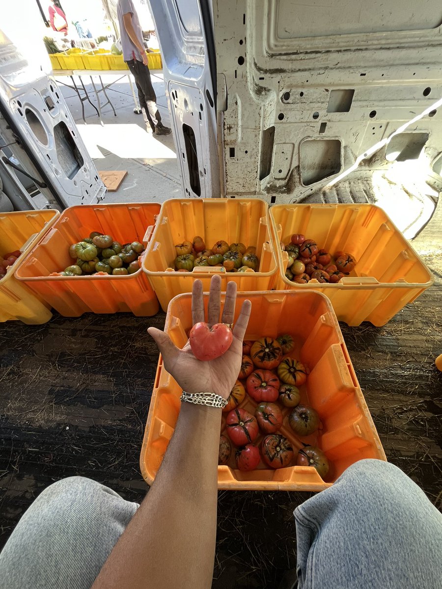 faisonedd's tweet image. I’ve helped grow over 100,000lbs of produce over 3 years of farming