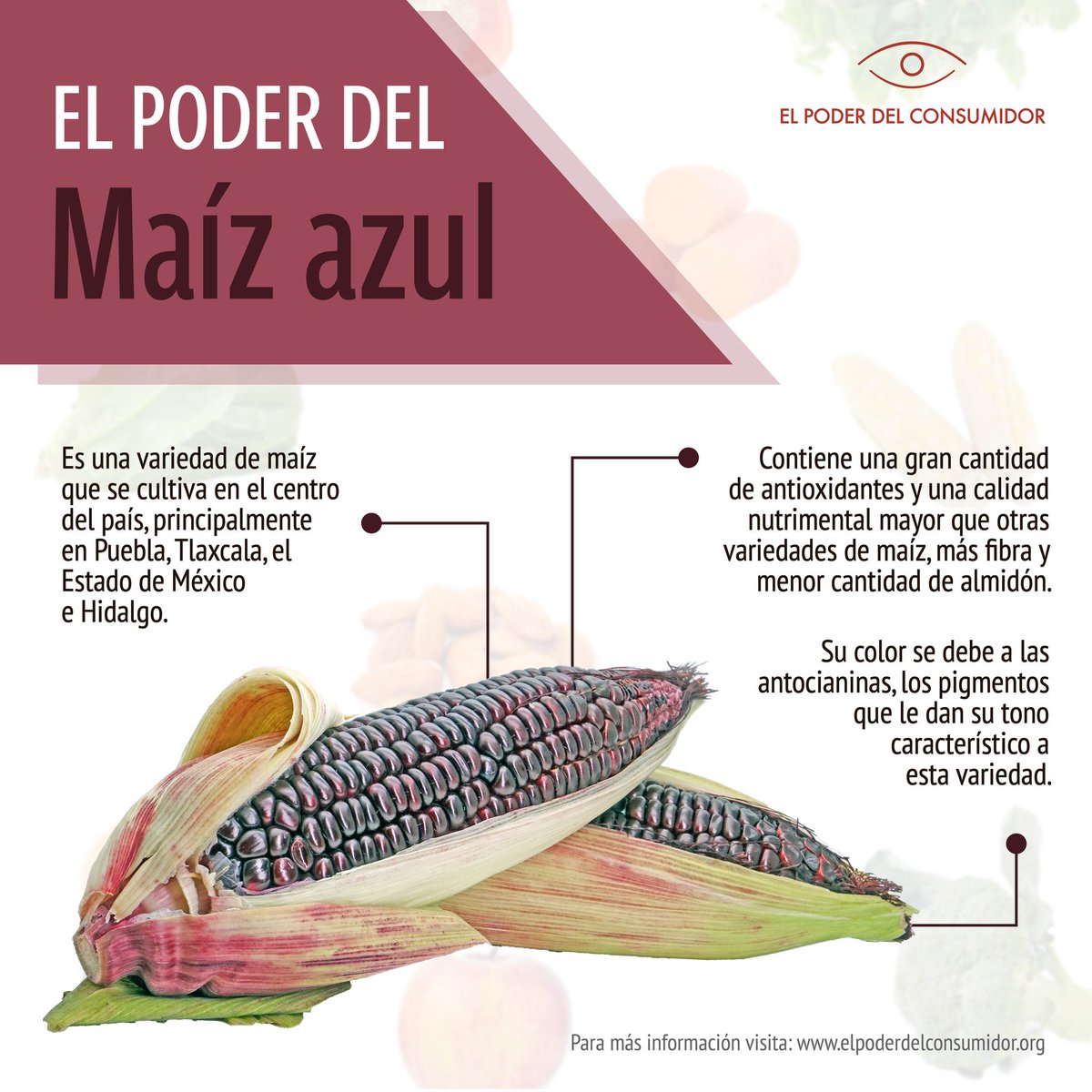 elpoderdelc's tweet photo. 💙🌽El maíz azul es una variedad que se cultiva en México, sobre todo en Puebla, Tlaxcala, Estado de México e Hidalgo.
Su nivel de fibra es más elevado que el de muchos otros cereales y contiene carbohidratos de fácil digestión✨
#MéxicoSantuarioDelMaíz 
https://t.co/ubueYSrnQf https://t.co/YvqCQEAfDc
