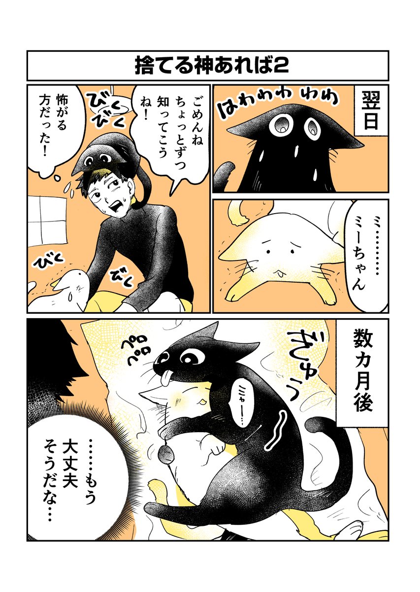 すてられた猫の話(2/2) #ねこの日