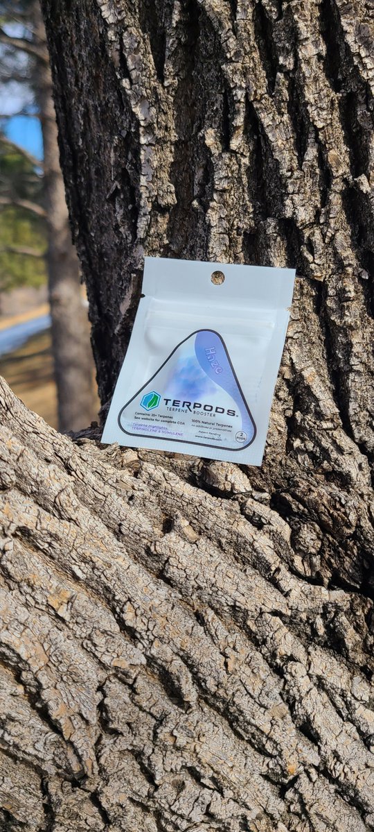 terpods_'s tweet photo. Haze Two Pack looking good 🌿🔥🌥️ #Terpods #TerpeneRevolution https://t.co/I5b8I6ow76