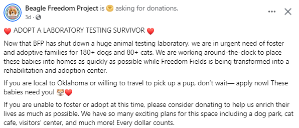 Indy24121's tweet image. *Apply to foster or adopt at BFP.org/rescue/
*Apply to volunteer at BFP.org/volunteer/
#beaglefreedomproject #beaglefreedom #bfp #beagle #beagles #endanimaltesting #freethebeagles #openthecages #endanimalexploitation #endanimalcruelty #crueltyfree