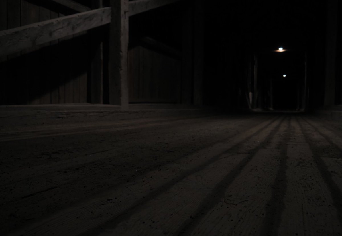 Gerben van Dijk tweet media