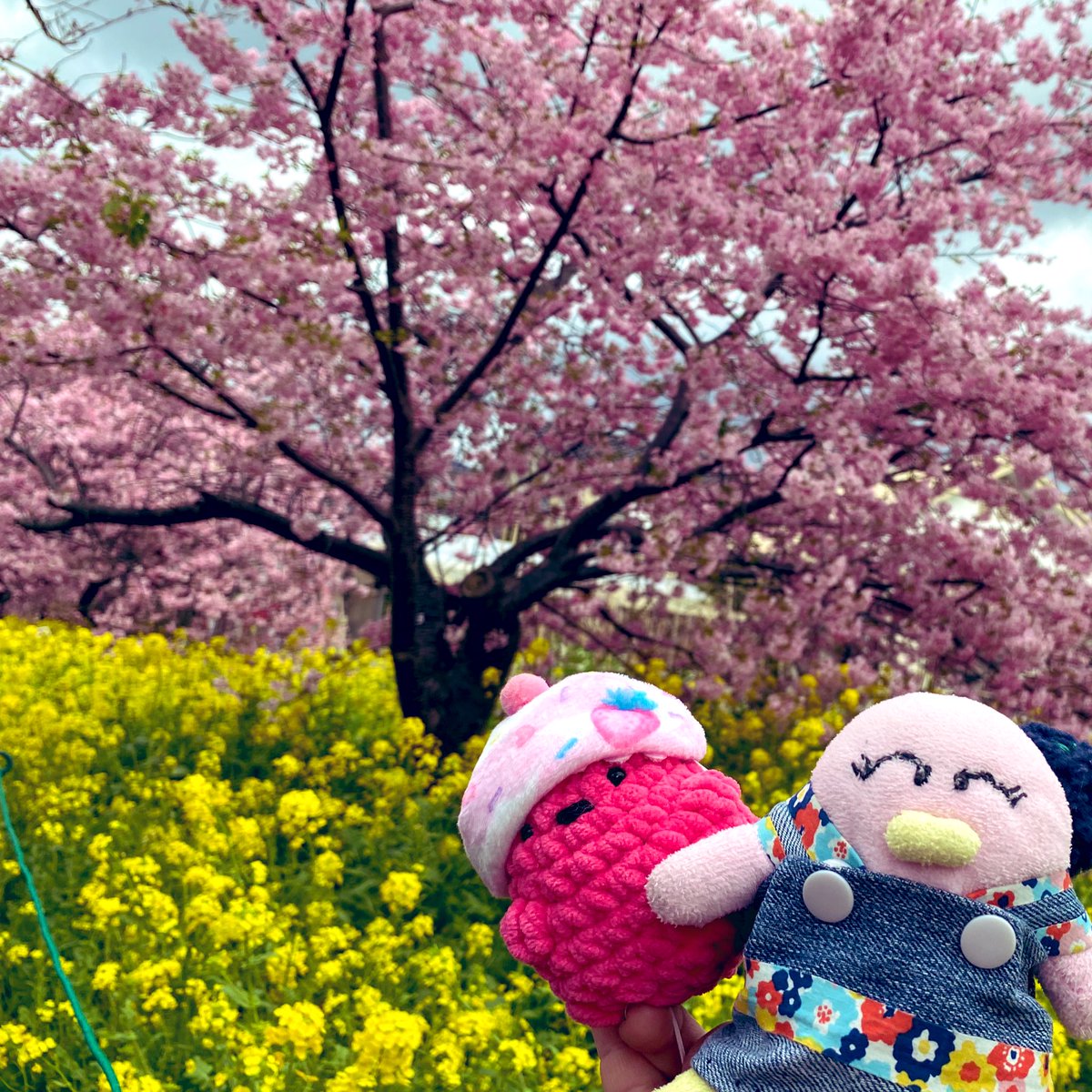 ogin_mama's tweet photo. 今日は寒いけど
春はそこまで来てるなのー❗️
 #ぬい撮り #ぬいったー #ぬい散歩 #でら #癒しの時間 #癒し #ぬいぐるみ #ぬいぐるみすき #ハンドメイド #手作りぬいぐるみ #ぬい旅 https://t.co/exObKh2lkX