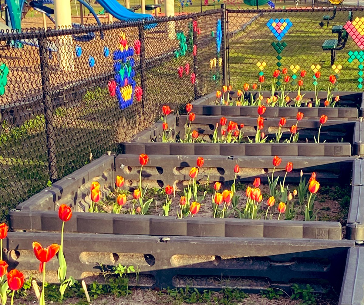 Such a beautiful sight to walk out to this evening. 🌅🌷@HumbleISD_LSE Thank you @Humble_Science!