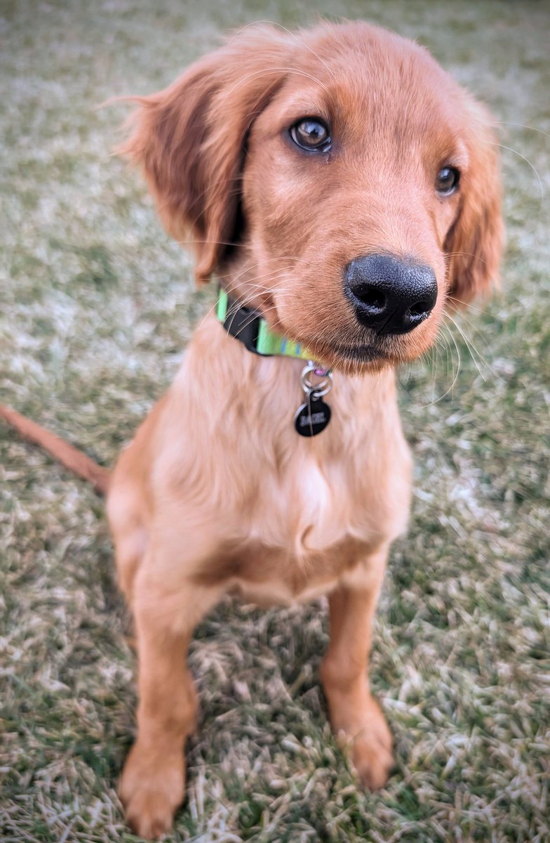 pennypenelopep.bsky.socia tweet media