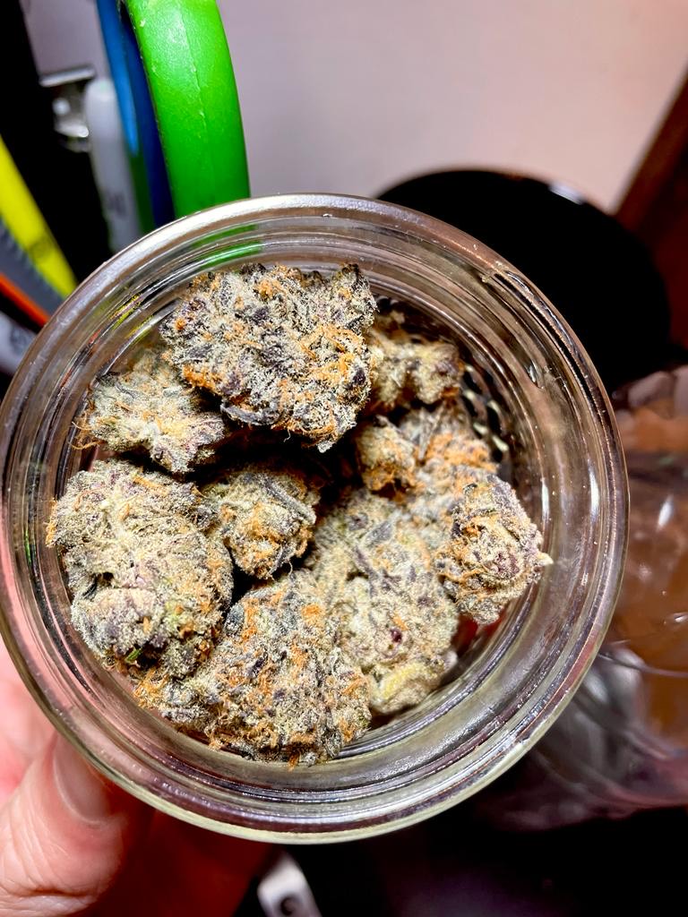 Purple Gelato Punch from <a href="/fullseshclub/">Full Sesh</a>. 

Seriously nice bud at a great price. Well done!

#purple #gelato #punch  
#frosty #cannabis #terpenes 
#nice #buds 
#revelstoke #fernie