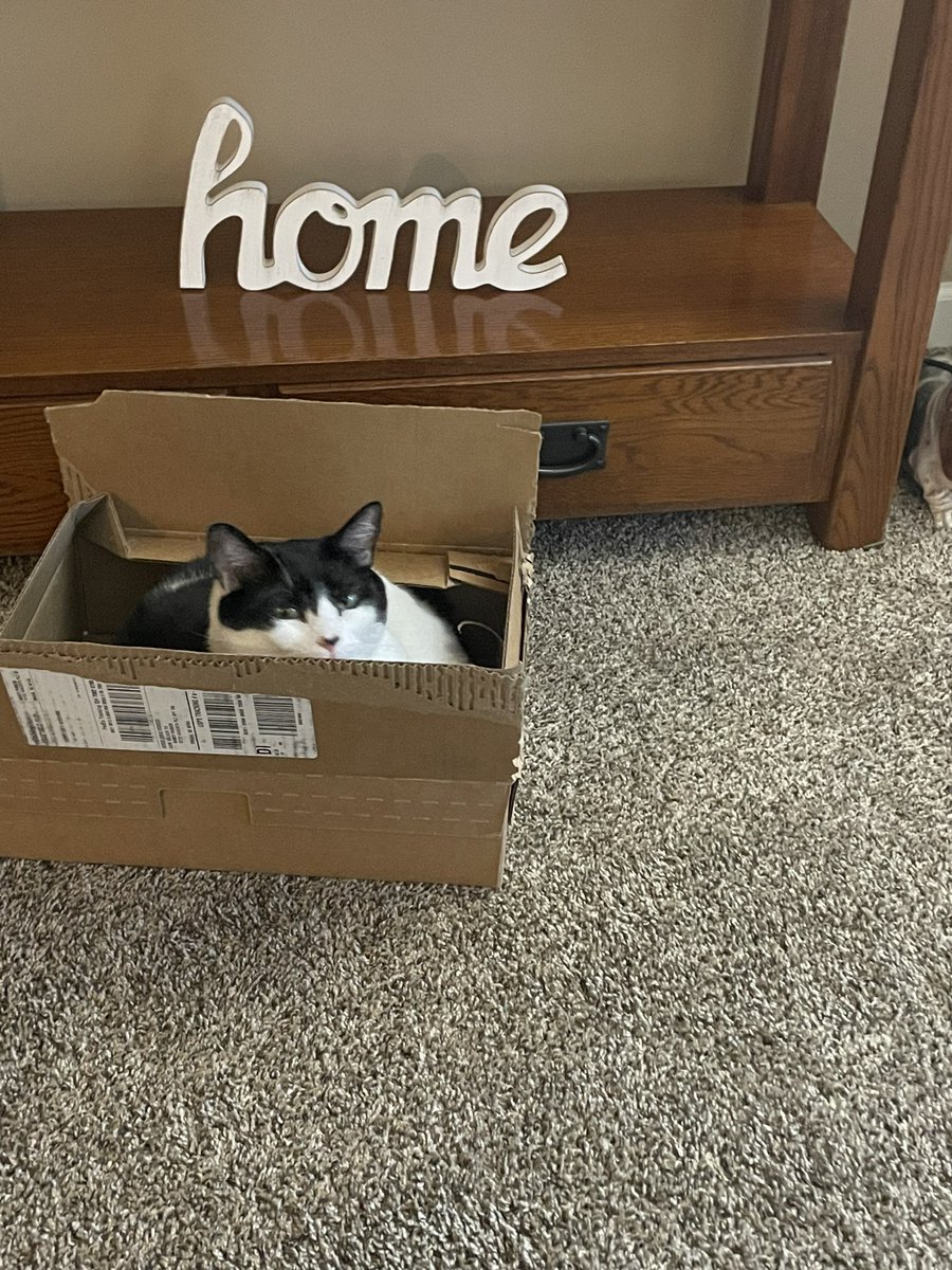 I told my mum that I luv noxes even the smallest one. I’m Charlie