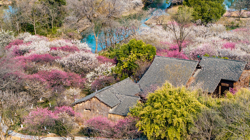 ChinaDaily's tweet photo. #ChinaCanvas Consisting of various ponds, lakes and marshes, Xixi National Wetland Park is home to an array of rich natural resources in the west of Hangzhou, #Zhejiang province. https://t.co/GbFmQhLom1 https://t.co/6GesOk56CQ