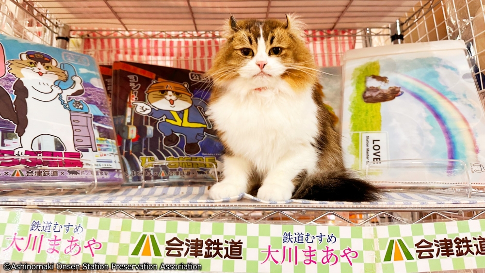 It's #CatDay 🐈 in Japan, the purrfect time to highlight a #Fukushima station 🚉 transformed by our feline friends! After <a href="/ashinomakionsen/">芦ノ牧温泉駅を守る会【公式】</a> made a cat its stationmaster, rail use &amp; tourism rose. There's also a cat-tastic train!
ashinomakionseneki.com/%E3%81%AD%E3%8…

#RegionalRevitalization