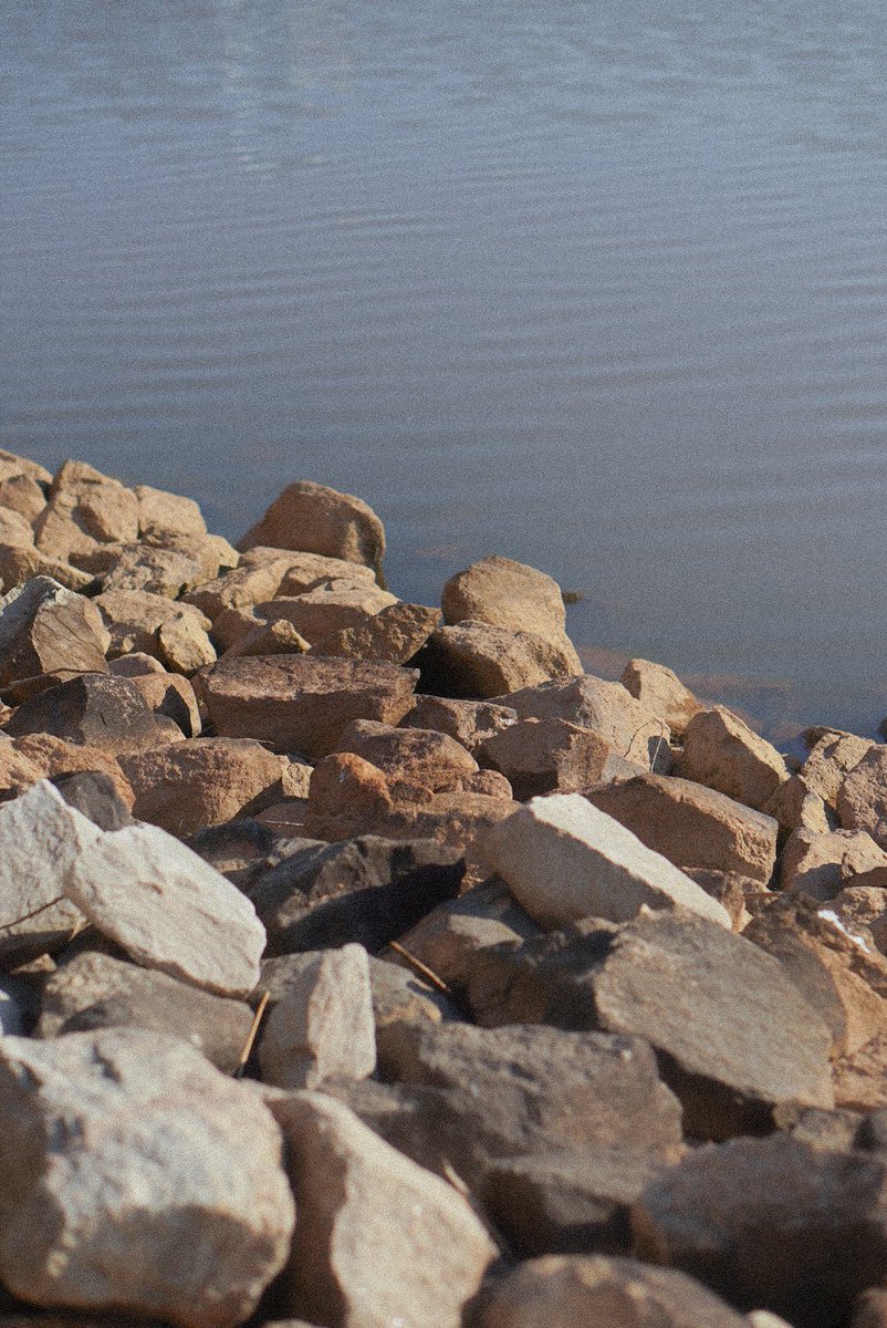 Something dreamy today! NC photographers drop your fave photos in the comments!