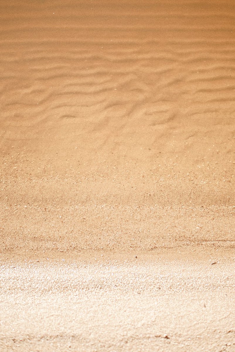 Film grain moment today with this gorgeous spring weather. #ncphotographers