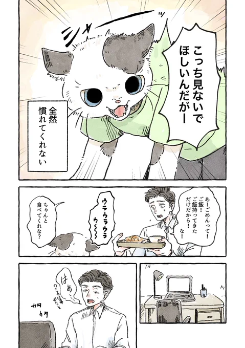 人見知りの子猫と家族になりたい男の話(2/3)