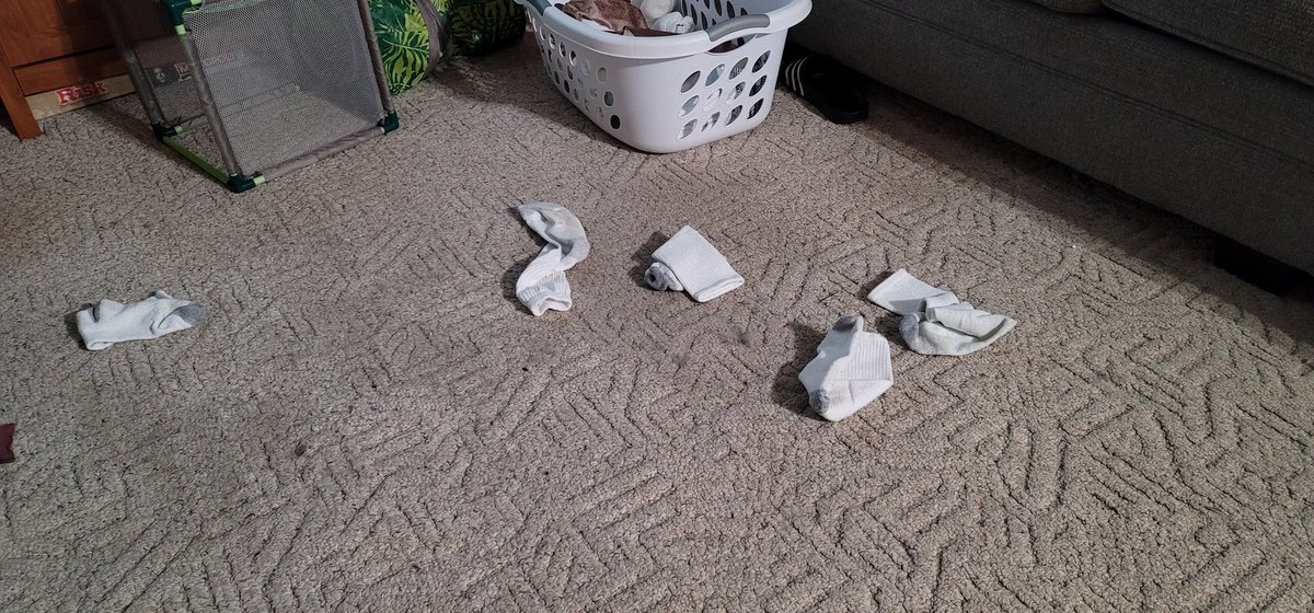 There was a sock massacre at my house today. They were simply minding their own business, folded in the comfort of their laundry basket when the unthinkable happened! Apparently #SophieTheDestroyer was highly offended by their existence, so without warning, she attacked!