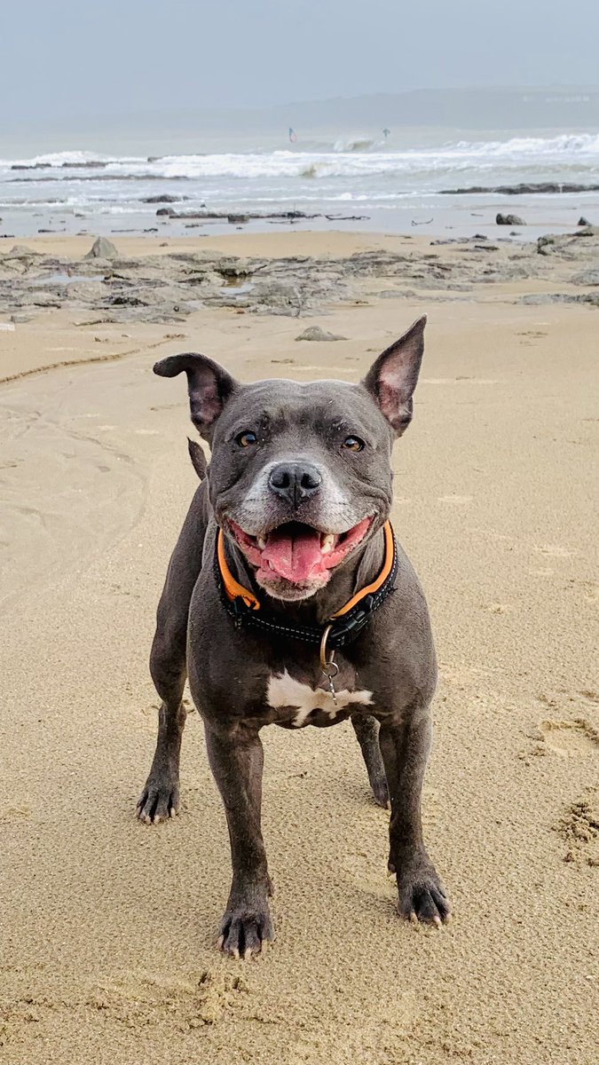 Isa Mary tweet media