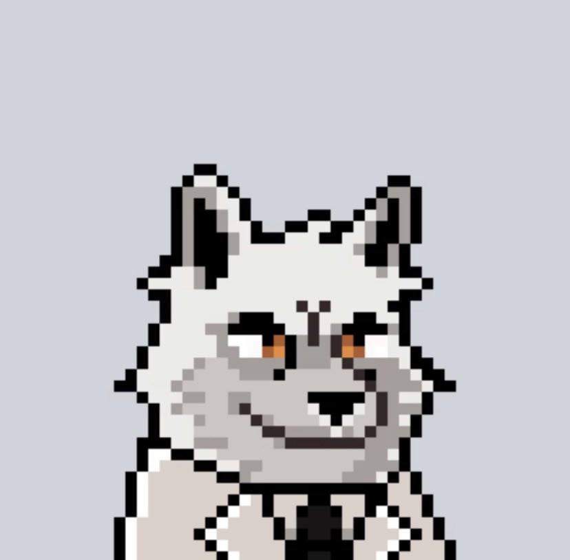 #moonrunnersnft 
Definitely something to 👀
#packisback