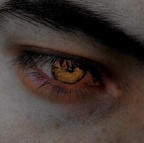 VAMP0DE's tweet photo. it’s almost like you want me .
go on test me
let’s see what you’ve got~

oh seung-min || vamp/tribrid xh https://t.co/qbGweDekrZ