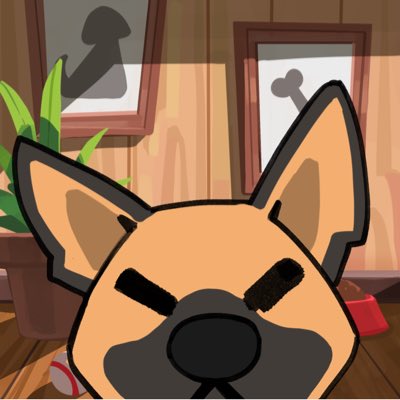 COQonKET🔺 tweet media